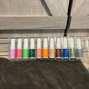 Beetles Gel Nail Art Polish Set 10